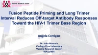 Thumbnail for Short Talk: Fusion Peptide Priming and Long Trimer Interval Reduces Off-target Antibody Responses Toward the HIV-1 Trimer Base Region
