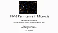 Thumbnail for Short Talk: HIV Persistence in Microglia