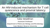 Thumbnail for Short Talk: An HIV-induced Mechanism for T Cell Quiescence and Proviral Latency