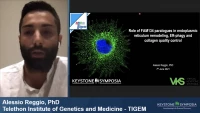Thumbnail for Short Talk: Role of FAM134 Family Members in Endoplasmic Reticulum Remodeling, ER-Phagy and Collagen Quality Control