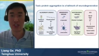 Thumbnail for Short Talk: Multiple Chaperones Function as Autophagic Receptors for Aggreghagy