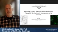Thumbnail for Exploiting Dynamic Enhancer Landscapes to Infer Pathogenic Mechanisms in Neurodegenerative Diseases