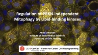 Thumbnail for Selective Autophagy Pathways