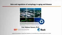 Thumbnail for Role of Autophagy in Aging and Disease