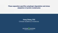 Thumbnail for Phase Separation and Autophagy