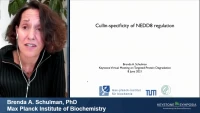 Thumbnail for Cullin-RING E3 Ligase Specificity