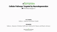 Thumbnail for Cellular Pathways Targeted by Neurodegeneration