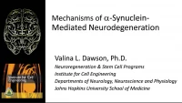 Thumbnail for Mechanism of A-Synuclein-Mediated Neurodegeneration
