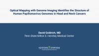 Thumbnail for Human Papilloma Virus Integration Strictly Correlates with Global Genome Instability in Head and Neck Cancer