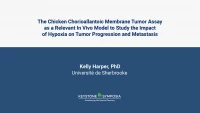 Thumbnail for The Chicken Chorioallantoic Membrane Tumor Assay as a Relevant In Vivo Model to Study the Impact of Hypoxia on Tumor Progression and Metastasis