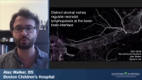 Thumbnail for NeuroImmune Crosstalk at Brain Borders