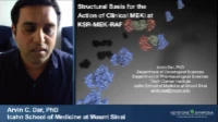 Thumbnail for Structural Basis for the Action of Clinical MEK Inhibitors at KSR-Bound MEK