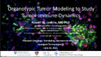 Thumbnail for Organotypic Modeling of Cancer and Immune Cell Dynamics