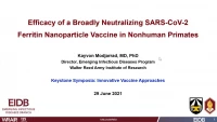 Thumbnail for Short Talk: Efficacy of a Broadly Neutralizing SARS-CoV-2 Ferritin Nanoparticle Vaccine in Nonhuman Primates
