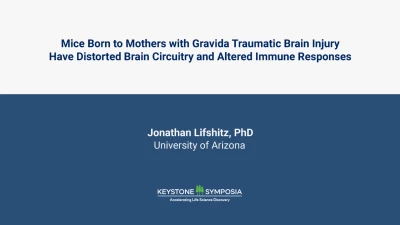Thumbnail for Mice Born to Mothers with Gravida Traumatic Brain Injury Have Distorted Brain Circuitry and Altered Immune Responses