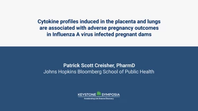 Thumbnail for Cytokine profiles induced in the placenta and lungs are associated with adverse pregnancy outcomes in Influenza A virus infected pregnant dams