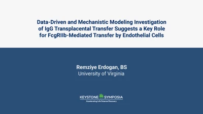 Thumbnail for A data-driven and mechanistic modeling investigation of IgG transplacental transfer suggests a key role for FcgRIIb-mediated transfer by endothelial cells