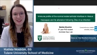 Thumbnail for Short Talk: Immune Profile of the Normal Maternal-Fetal Interface in Rhesus Macaques and Its Alteration Following Zika Virus Infection