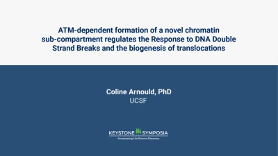 Thumbnail for ATM-dependent formation of a novel chromatin sub-compartment regulates the Response to DNA Double Strand Breaks and the biogenesis of translocations