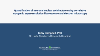 Thumbnail for Quantification of neuronal nuclear architecture using correlative cryogenic super-resolution fluorescence and electron microscopy