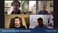 Thumbnail for Short Talk: Phase Separation Drives Aberrant Chromatin Looping and Cancer Development