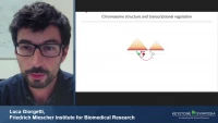 Thumbnail for Short Talk: Towards a Quantitative Understanding of Long-Range Transcriptional Regulation