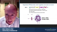 Thumbnail for Short Talk: Chromatin-Associated RNA Recycling by XRN2 Regulates Transcription and Chromosome Structure