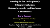 Thumbnail for Dissecting Roles for Condensate Properties in Heterochromatin Domain Formation & Function