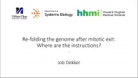 Thumbnail for Genome Folding and Re-Folding during the Cell Cycle
