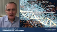 Thumbnail for Principles of Chromatin Organization through the Lens of the Cell Cycle