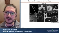 Thumbnail for Short Talk: A Unique Mode of Higher-Order Chromatin Organization in Cricket Sperm Nuclei