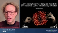 Thumbnail for Short Talk: A Chromatin Phase Transition Protects Mitotic Chromosomes Against Microtubule Perforation