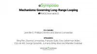 Thumbnail for Mechanisms Governing Long-Range Looping