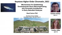 Thumbnail for Mechanisms for Establishing Developmental Gene Poising/Silencing and Chromosome Architecture in Early Zebrafish Embryos