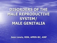 Thumbnail for Basic Urology - Disorders of the Male Reproductive System/Male Genitalia