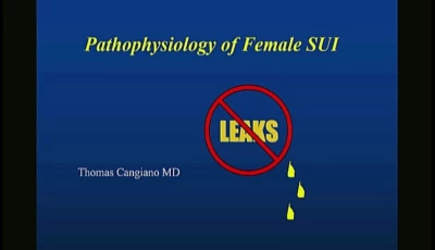 Thumbnail for Treatment of SUI in the Male and Female, Both Non-Surgical and Surgical Approaches