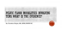 Thumbnail for Pelvic Floor Modalities Involving TENS: What's The Evidence?