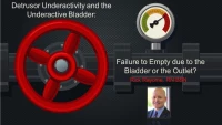 Thumbnail for Detrusor Underactivity and the Underactive Bladder: Failure to Empty Due to the Outlet or the Bladder?