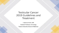 Thumbnail for Testicular Cancer - Diagnosis and Treatment - 2019 Guidelines