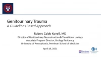 Thumbnail for Urologic Trauma in 2021:  A Guidelines Based Overview