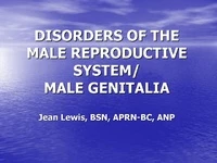 Thumbnail for Basic Urology: Disorders of the Male Reproductive System/Male Genitalia