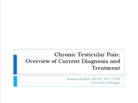 Thumbnail for Diagnosis and Management of Chronic Testicular Pain: State of the Science