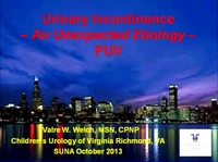 Thumbnail for Urinary Incontinence in a School-Aged Boy: Unexpected Cause - Posterior Urethral Valves