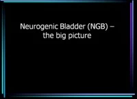 Thumbnail for Neurogenic Bladder: The Big Picture