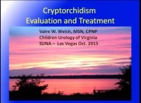 Thumbnail for Cryptorchidism - Evaluation and Treatment