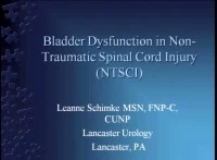 Thumbnail for Bladder Dysfunction with Non-Traumatic Spinal Cord Injury (NTSCI)