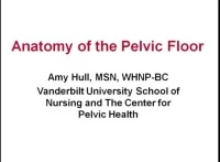 Thumbnail for Sex, Skin, Bulges, and the Drugs and Devices to Improve Pelvic Floor Function