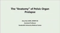 Thumbnail for The Ins and Outs of Pessaries
