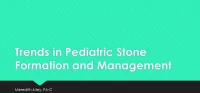 Thumbnail for Trends in Pediatric Stone Formation and Management