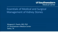 Thumbnail for Kidney Stones: The Essentials of Medical and Surgical Management